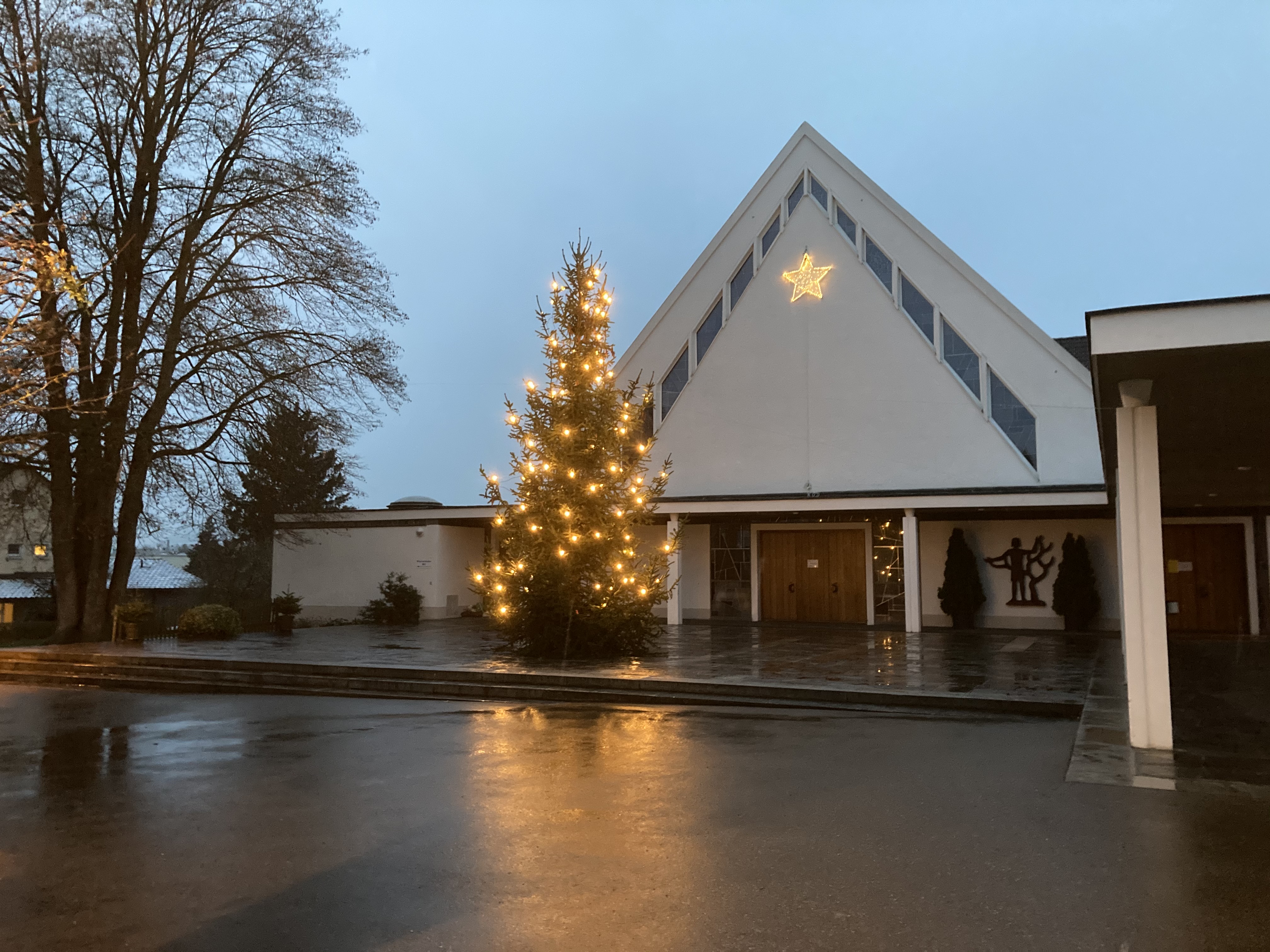 Weihnachtsbaum Wängi